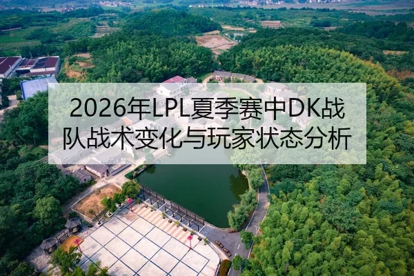 2026年LPL夏季赛中DK战队战术变化与玩家状态分析